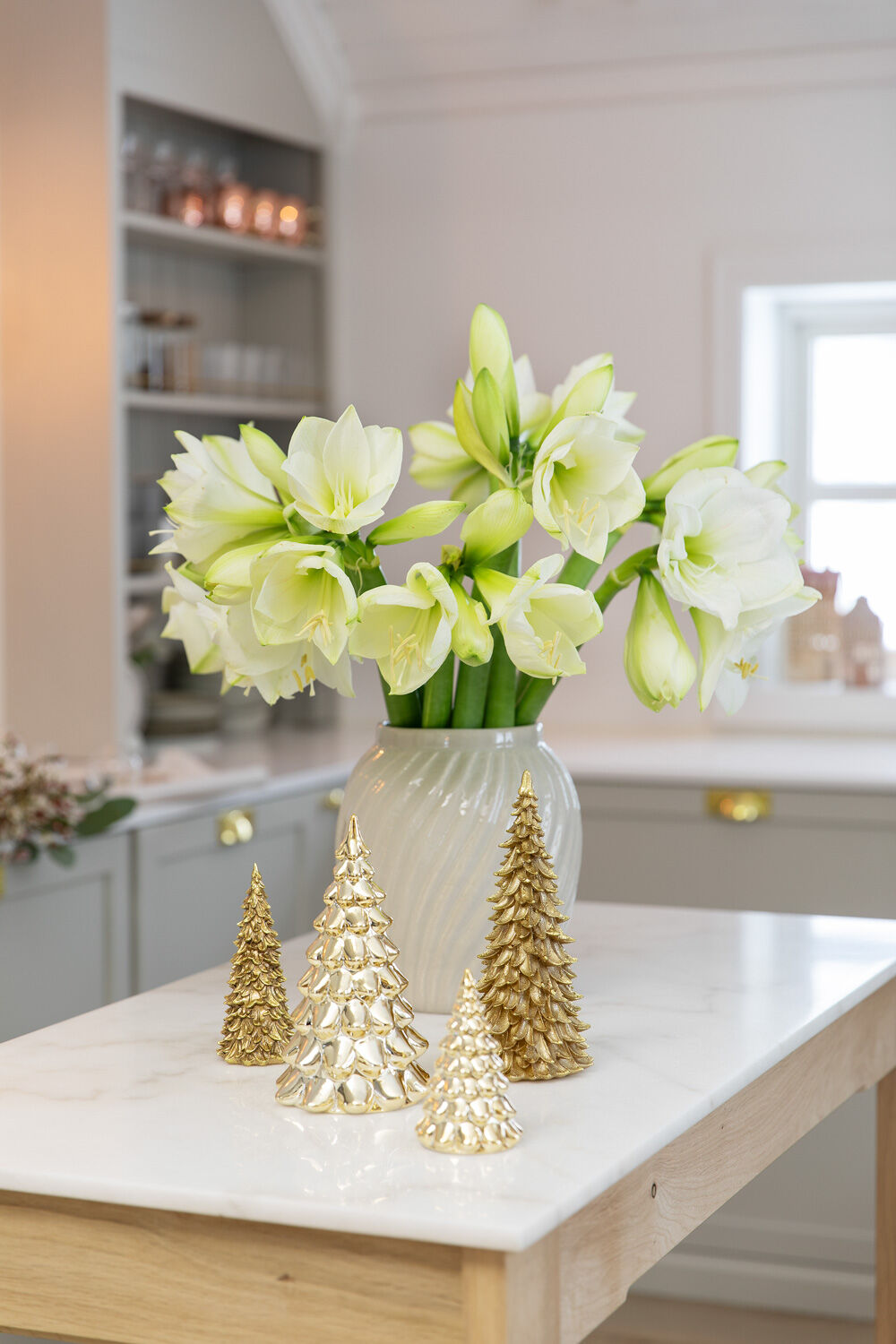 Hvit amaryllis